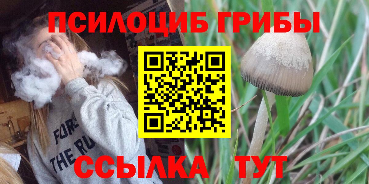 Галлюциногенные грибы GOLDEN TEACHER Белореченск